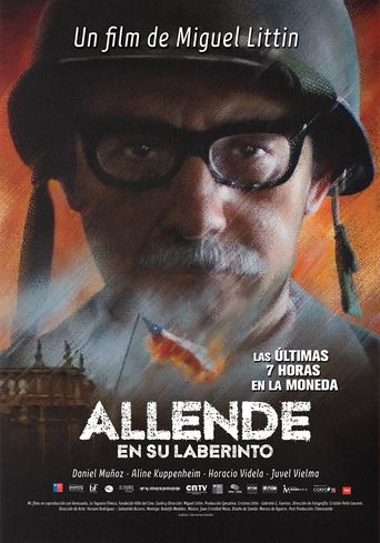  Allende en su laberinto Poster