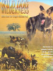  Wild Dog Wilderness Poster
