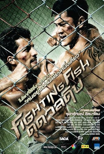  Fighting Fish Poster