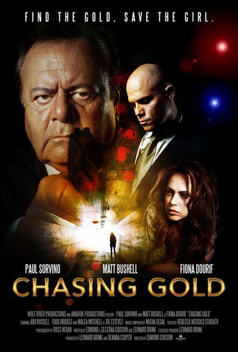  Chasing Gold Poster
