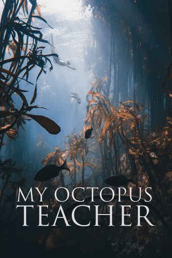  My Octopus Teacher Poster