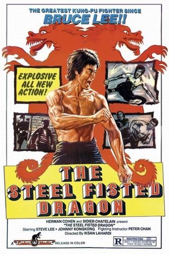  The Steel Fisted Dragon Poster