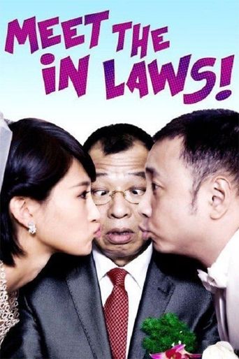  Meet the In Laws Poster