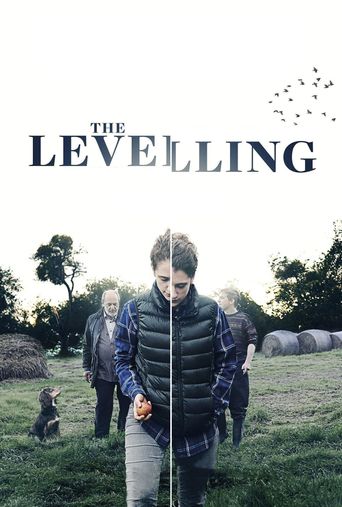  The Levelling Poster