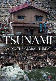  Tsunami: Facing The Global Threat Poster