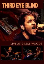  Third Eye Blind: Live at Great Woods Poster