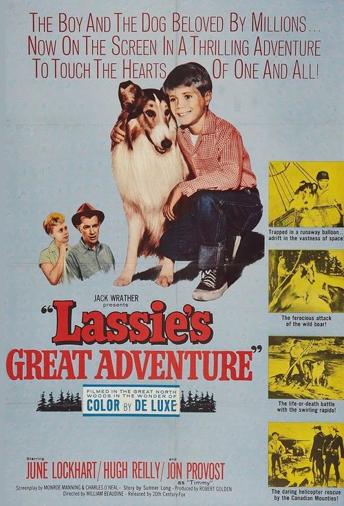 Lassie's Great Adventure Poster