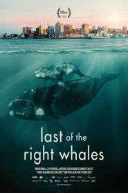  Last of the Right Whales Poster