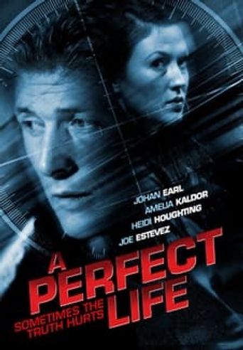  A Perfect Life Poster