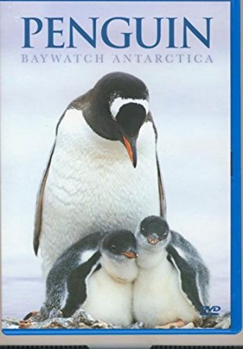 Penguin Baywatch Antarctica Poster