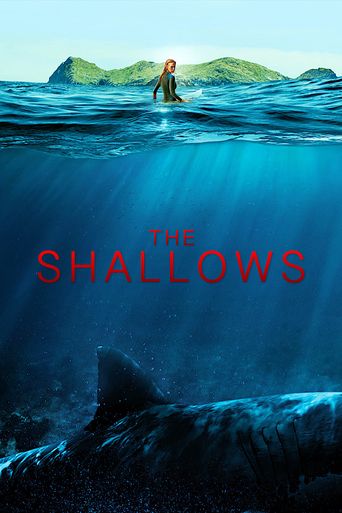  The Shallows Poster