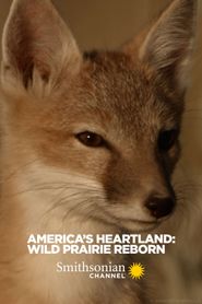  America's Heartland: Wild Prairie Reborn Poster
