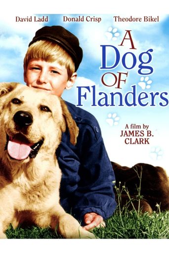  A Dog of Flanders Poster