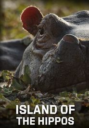  Island of the Hippos Poster