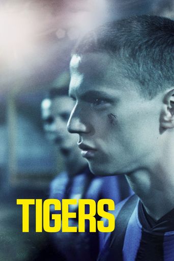  Tigers Poster
