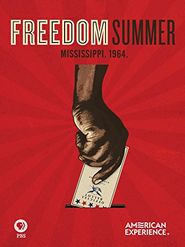  Freedom Summer Poster