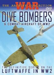  Dive Bombers and Combat Aircraft of World War II Poster