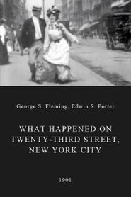  What Happened on Twenty-Third Street, New York City Poster