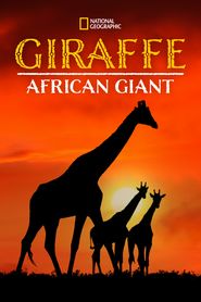  Giraffe: African Giant Poster