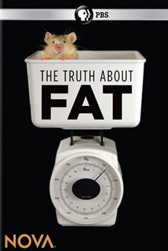 The Truth About Fat Poster