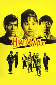  Hapkido Poster