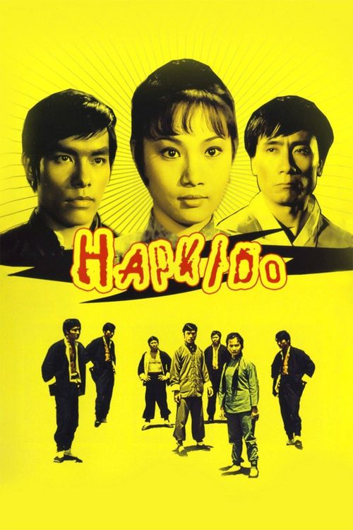 Hapkido Poster