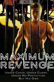  Maximum Revenge Poster