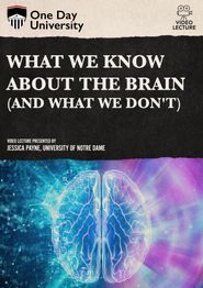  What We Know About the Brain (and What We Don't) Poster