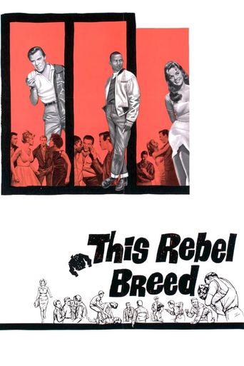  Black Rebels Poster