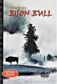  The Death of a Bison Bull Poster