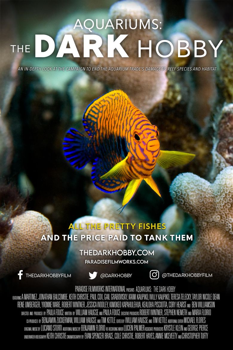 Aquariums: The Dark Hobby
