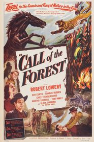  Call of the Forest Poster
