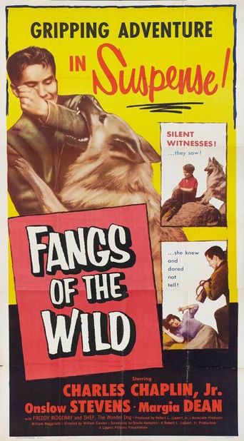 Fangs of the Wild Poster