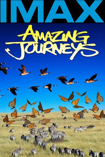  Amazing Journeys Poster