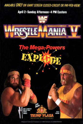  WWE WrestleMania V Poster