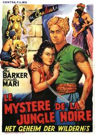  Mystery of the Black Jungle Poster