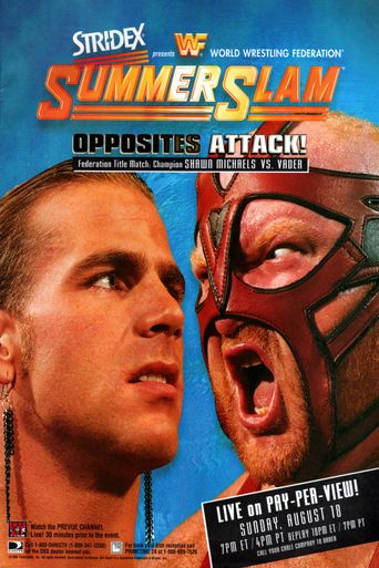  WWE SummerSlam 1996 Poster