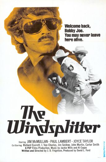  The Windsplitter Poster