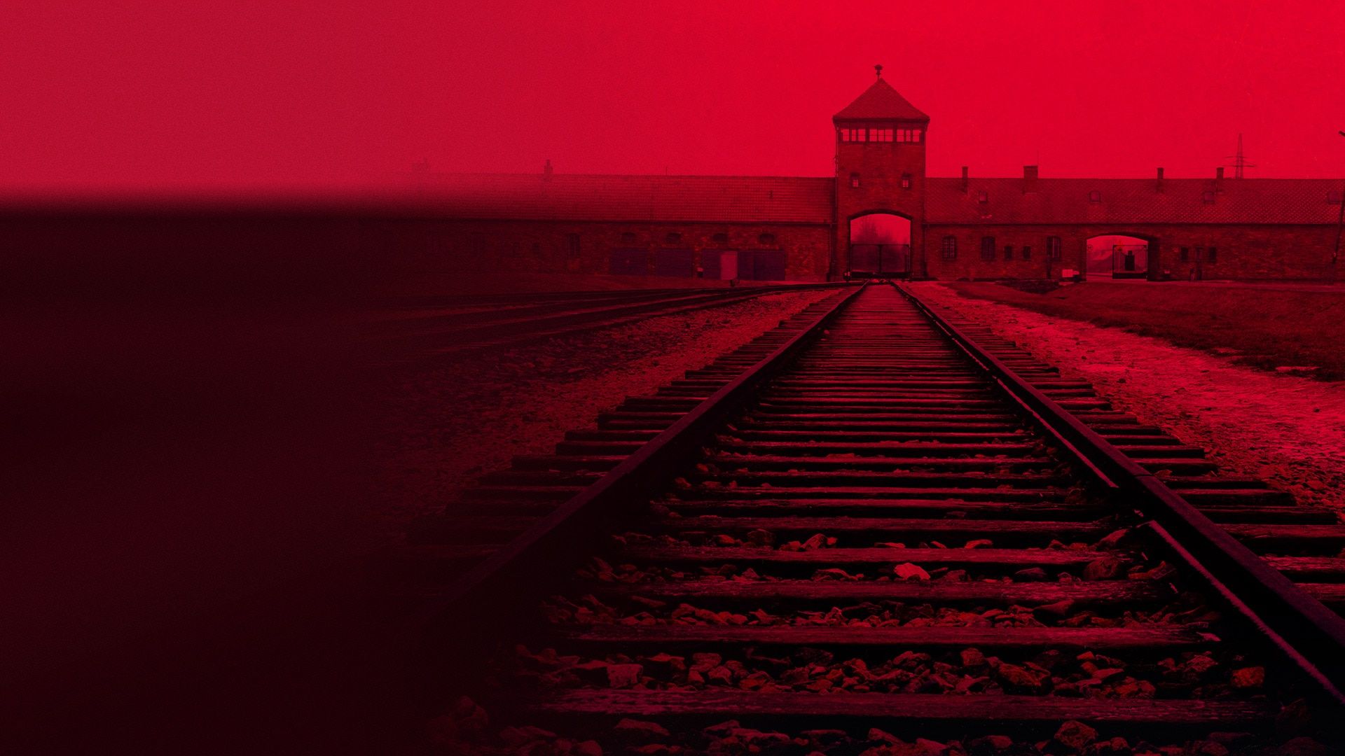 1944: Should We Bomb Auschwitz? Backdrop