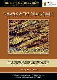  Camels and the Pitjantjara Poster