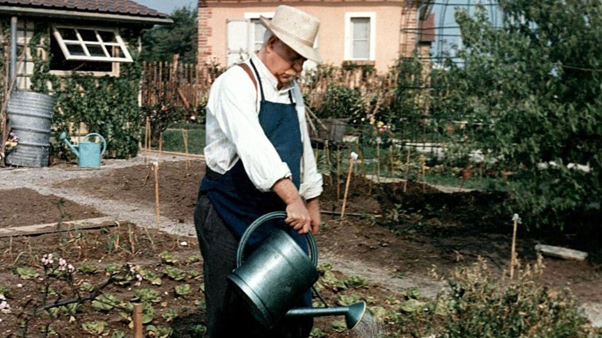 The Gardener of Argenteuil Backdrop