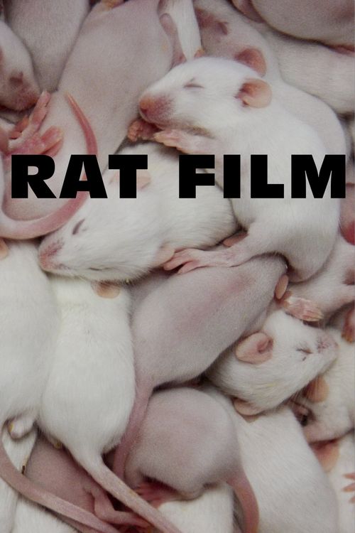 Rat Film Poster