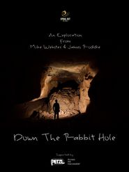  Down the Rabbit Hole Poster