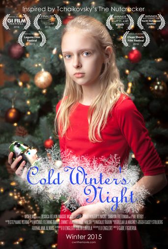  Cold Winter's Night Poster