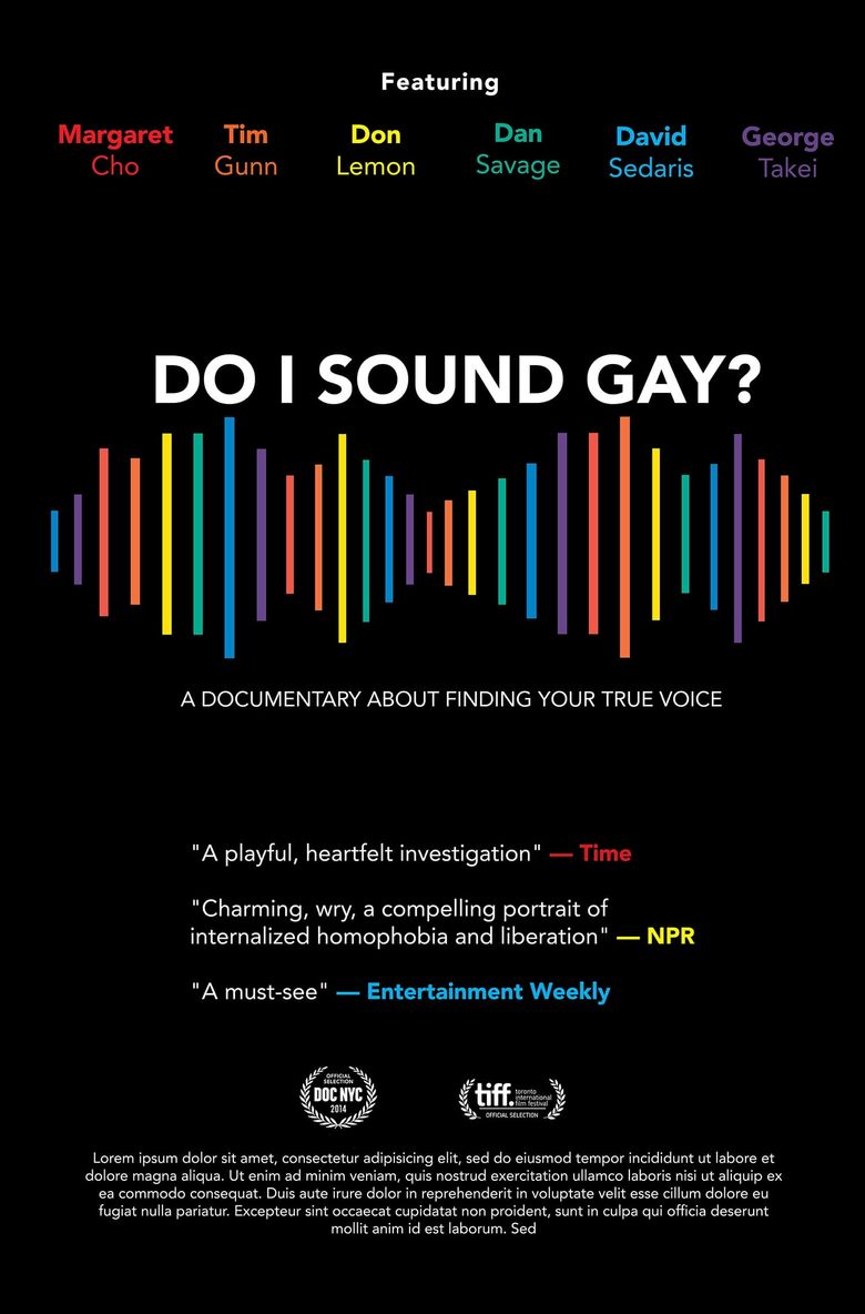 Do I Sound Gay? Poster