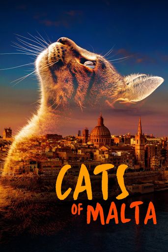  Cats of Malta Poster