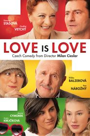  Love Is Love Poster