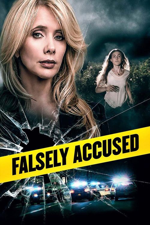 Falsely Accused Poster