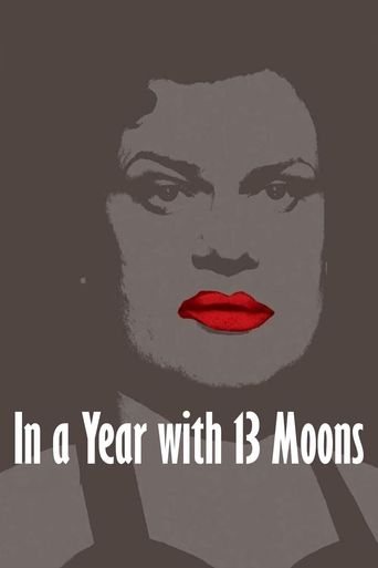  In a Year with 13 Moons Poster