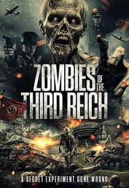  Zombies of the Third Reich Poster